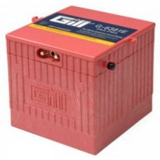 Gill G-6381E Battery With Acid